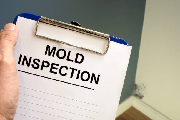 Best Post-Construction Mold Inspection  in Chester, MD